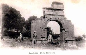 ALGERIE-RUINES ROMAINES DE LAMBESE (52)